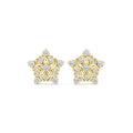 The Supernova Lan Grown Diamond Studs Yellow Gold