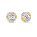 The Celestial Round Halo Lan Grown Diamond Studs Yellow Gold